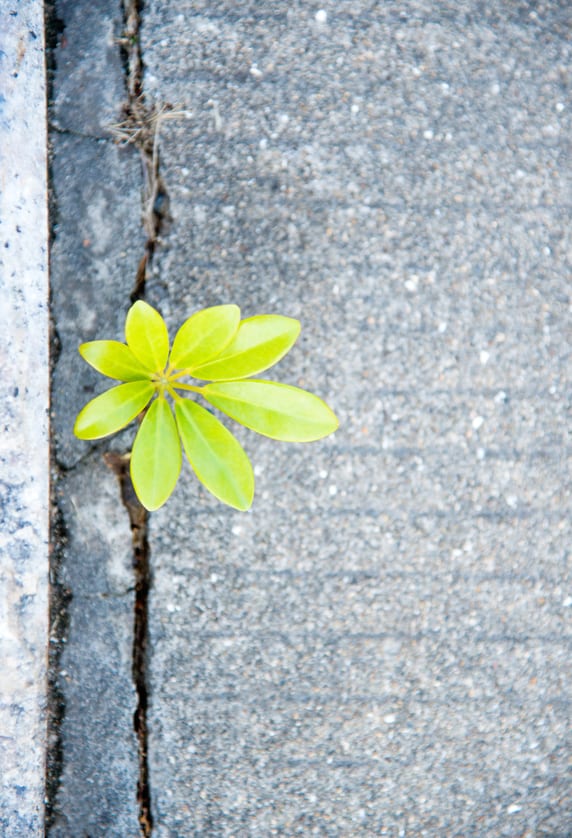 Reasons Eating Disorder Center Sprout