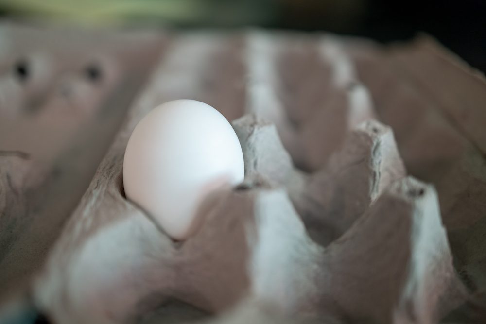 Food Insecurity and Eating Disorders